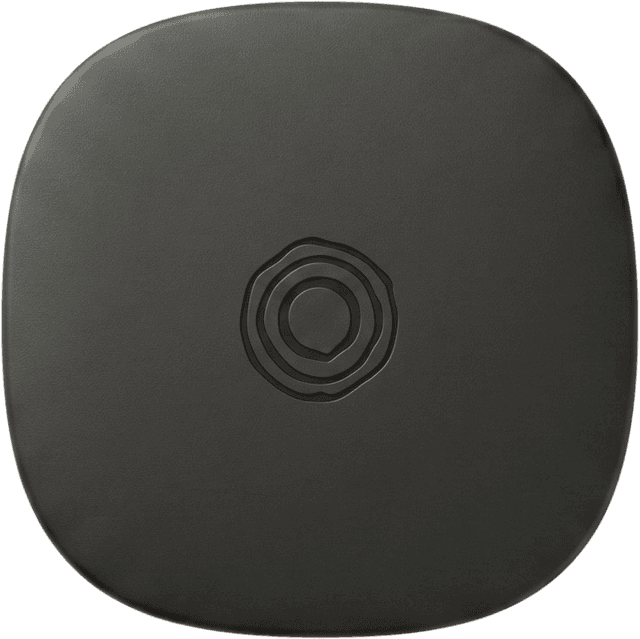 Buddi pin device